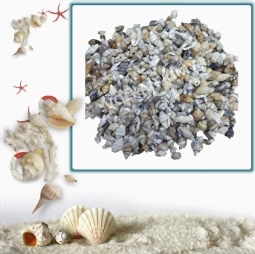 Kategori resimi Deniz Kabukları ''30-50 gr''