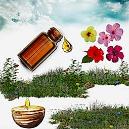 Kategori resimi Balmumu Esansları