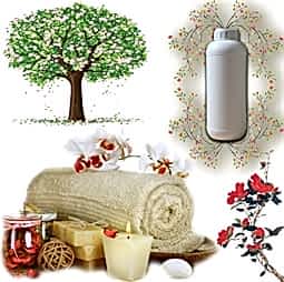 Kategori resimi Balmumu Koku Esansları 1 Kg