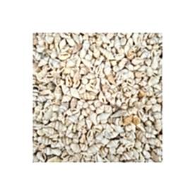 Resim Nassa Shell Kavrulmuş Beyaz Deniz Kabuklar ''30 gr''