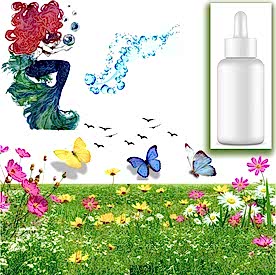 Resim Deniz Köpüğü Sabun Koku Esansı 10 cc