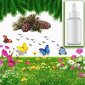 Resim Çam Kokusu Mum Koku Esansı 30 cc