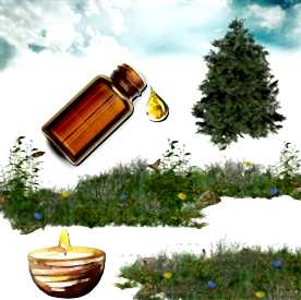 Resim Sedir Ağacı Mum Koku Esansı 50 cc