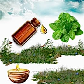 Resim Nane Mum Koku Esansı 50 cc