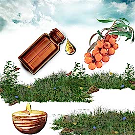 Resim İğde Mum Koku Esansı 50 cc