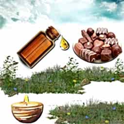 Kategori resimi Mum Koku Esansları 50 cc