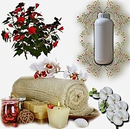 Kategori resimi Mum Koku Esansları 1 Kg