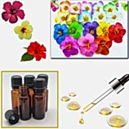 Kategori resimi Mum Esansları