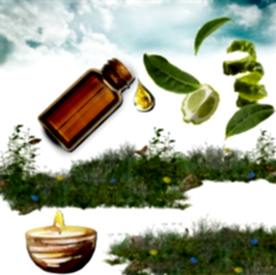 Resim Bergamot Mum Koku Esansı 50 cc