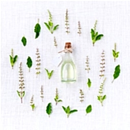 Kategori resimi Soya Mum Soya Wax Koku Esansları 1 Kg