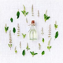 Kategori resimi Mum Koku Esansları 1 Kg