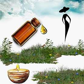 Resim Cazibeli Mum Koku Esansı 30 cc