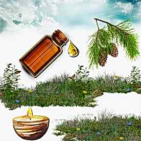 Resim Çam Kokusu Mum Koku Esansı 50 cc