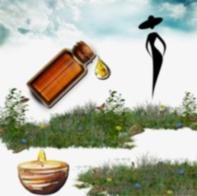 Resim Cazibeli Mum Koku Esansı 50 cc