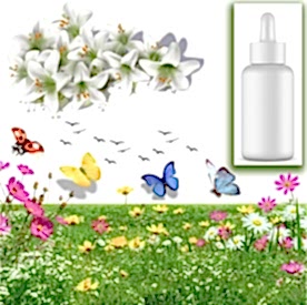 Resim Lilyum Mum Koku Esansı 30 cc 