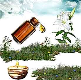 Resim Lilyum Mum Koku Esansı 50 cc 