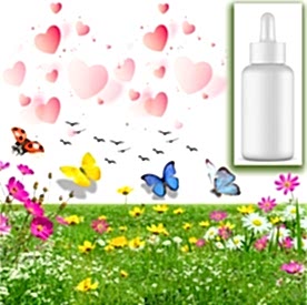 Resim Ameliamor Mum Koku Esansı 30 cc 